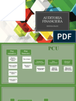 Mapa Auditoria Financiera