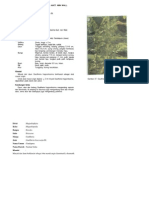 Download 04-deskripsi-tumbuhan-1 by Deli Warbandido SN48096387 doc pdf