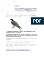 Concepto de Aves