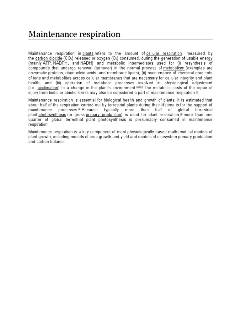 Maintenance Respiration PDF
