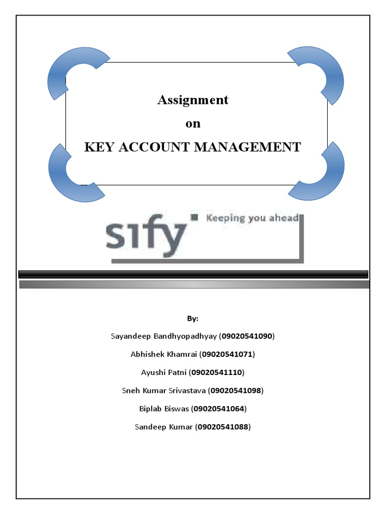 Key Account Management Assignment | PDF