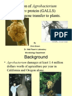 Rhizogenes Protein (GALLS) : Purification of Agrobacterium Required For Gene Transfer To Plants