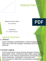 VESIKOLITOTOMY