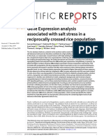 Gene Expression Analysis PBT Lab Razzaq.S SabrinaME