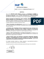 Certificado de Trabajo Procasur PDF