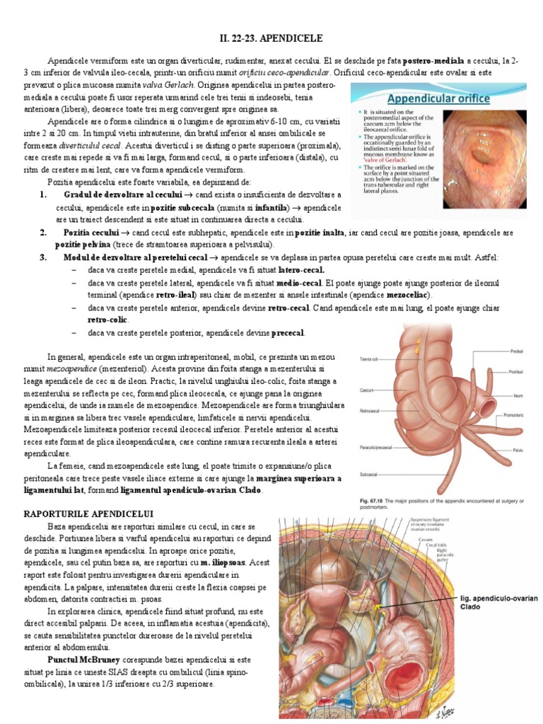 II. 22-23. Apendicele | PDF