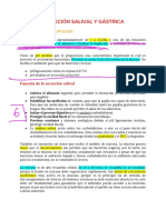 Mecanismos Secrecion Salivar PDF