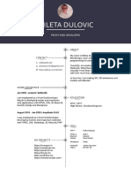 Mileta Dulovic CV PDF