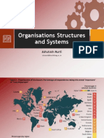Organisations Structures and Systems: Ashutosh Murti