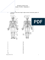 Modul Sistem Gerak