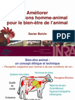 Bien Être Animal BV PDF