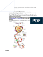 Transcription and Translation.: Protein Synthesis