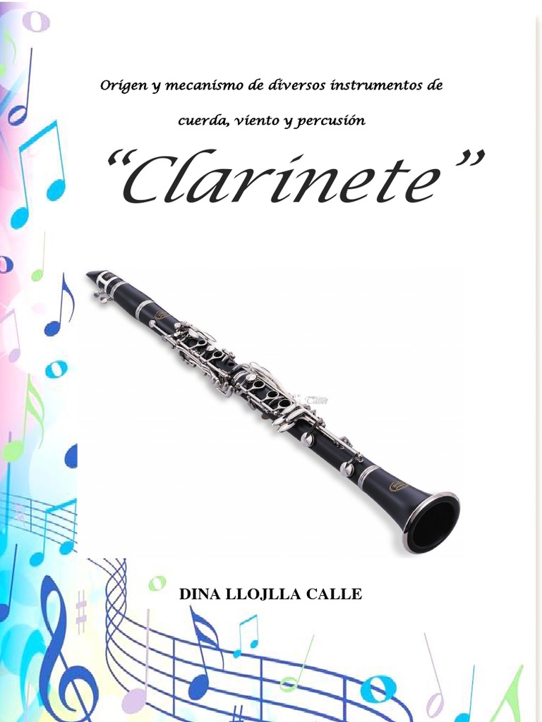 Historia, Partes Del PDF Flauta