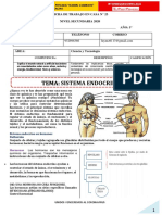 Tema: Sistema Endocrino: Gómez Janampa, Luzmila 952698386