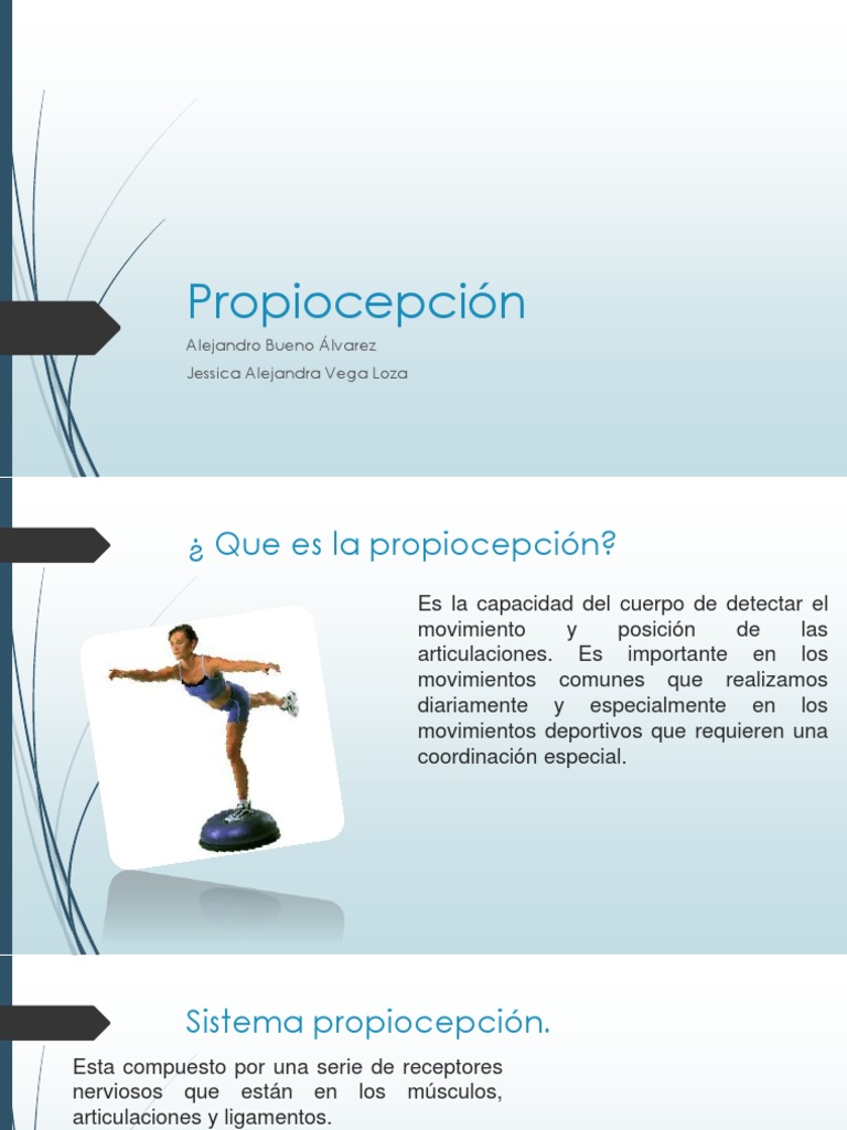 Propiocepción | PDF | Músculo | Contracción muscular