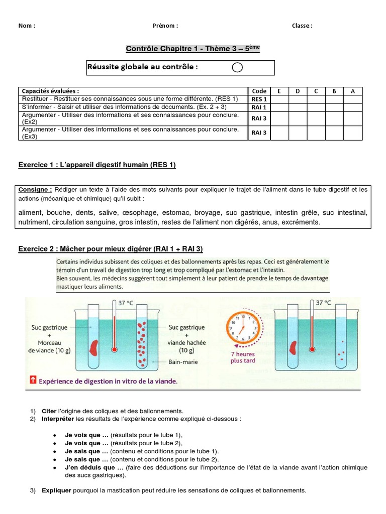 évaluation Svt Sur Circulation Sanguine Classe De 5 Pdf Controle - Ch1 - Th3 - V2 - 5e SVT | PDF | Tractus gastro-intestinal |  Maladie cœliaque