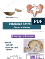 Estómago-Abomaso PDF