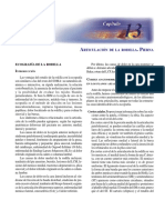 usd_rodilla._texto.pdf