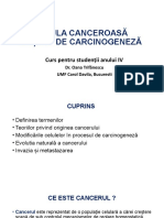 Curs Carcinogeneza