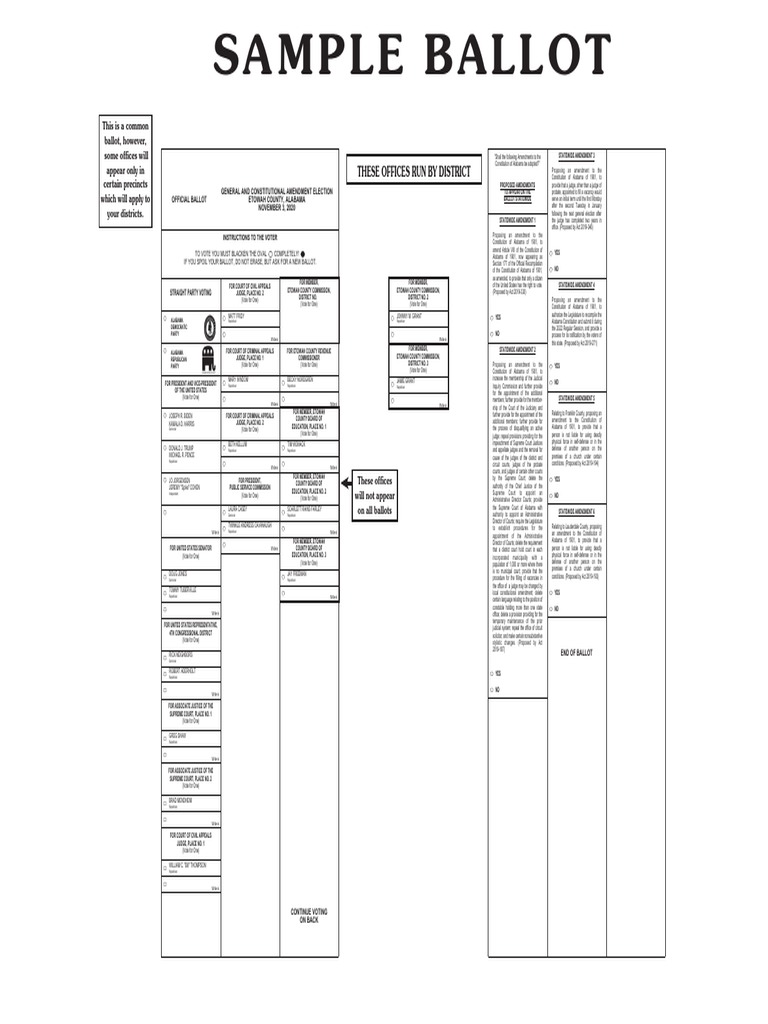 Sample Ballot For Nov. 3, 2020 General Election in Etowah County, Ala