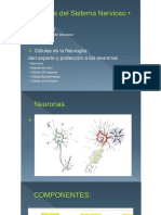 HISTOLOGIA DEL SISTEMA NERVIOSO.pdf