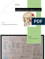 Elementos Anatómicos de La Cabeza y Cara