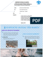 Tía María - Conflicto Social PDF