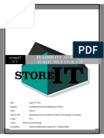 Feasibility Analysis StoreIT 250414