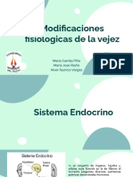 Sist. Endocrino y Linfatico PDF