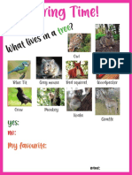 A Worksheet About Animals
