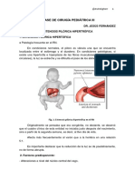 Cirugía Pediátrica 3 PDF