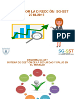 Revision Por La Direccion SG-SST 2019