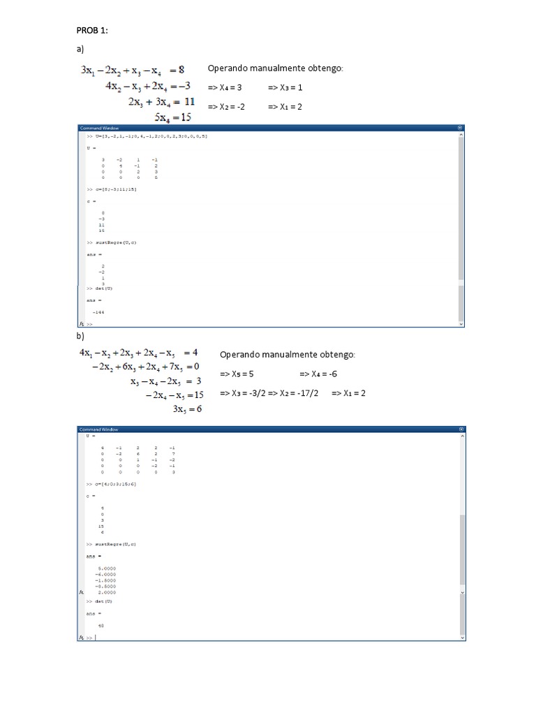 Problemas Resueltos de Metodos Numericos | PDF | Métodos y materiales ...