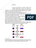 Métodos y Técnicas de Tinción