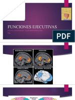 FUNCIONES EJECUTIVAS - PPTX FINAL 2016