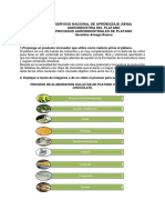Procesosnagroindustrialesndelnplatanon1n 245f551292d402d PDF
