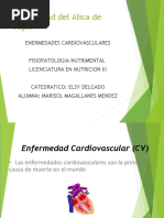 Enfermedades Cardiovasculares Presentacion