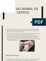 Sanidad Animal en Cerdos