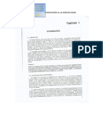 Capitulo de Introducción PDF