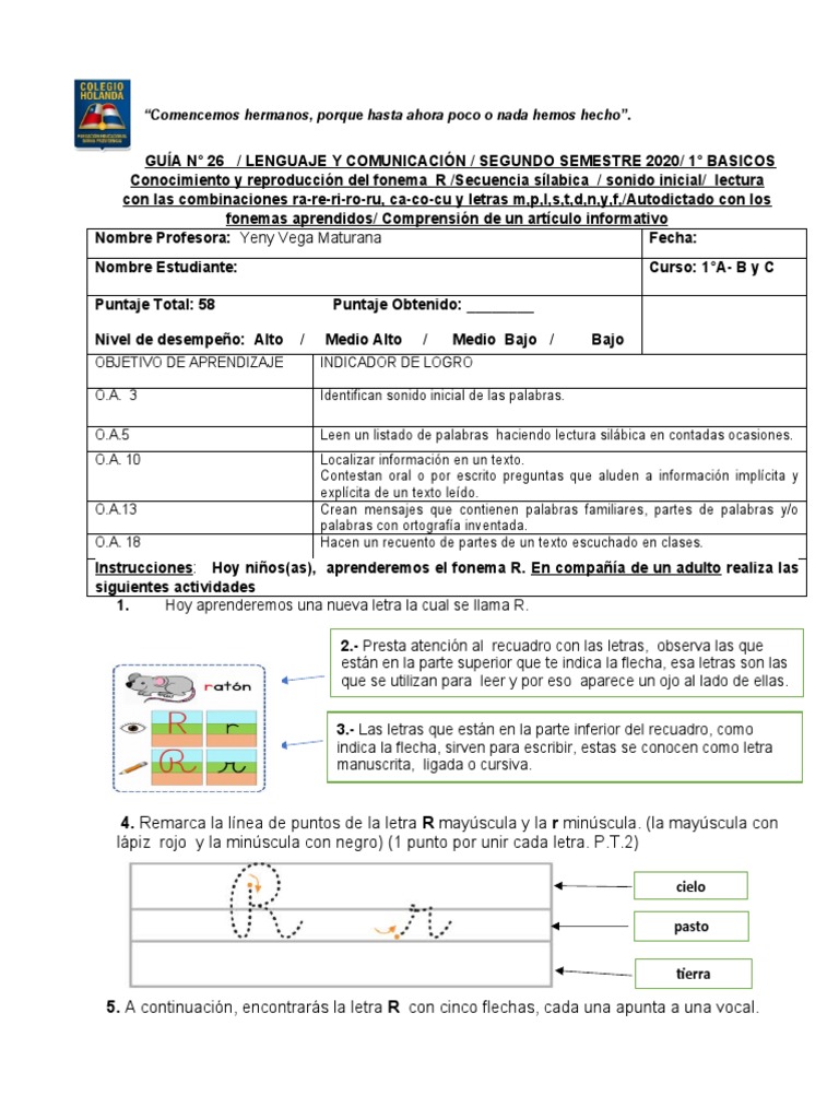 Actividades para el fonema R en 1° básico | PDF | Puma | Idiomas