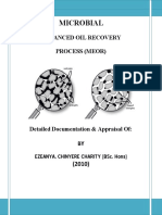 Microbial Enhanced Oil Recovery Process