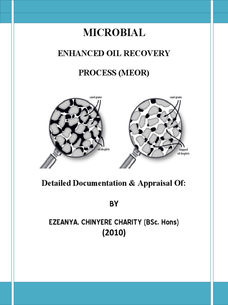 Microbial Enhanced Oil Recovery Process PDF Enhanced Oil Recovery