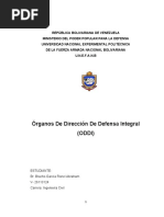 ODDI ronel bracho