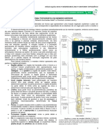 MEDRESUMOS 2016 - ANATOMIA TOPOGRÁFICA - Membro Inferior.pdf