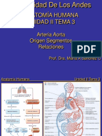 Anatomia Und II Tema 03