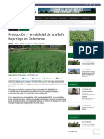 Producción y Rentabilidad de La Alfalfa Bajo Riego en Catamarca