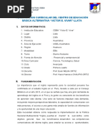 PLANIFICACION CURRICULAR DEL CEBA Nuevo