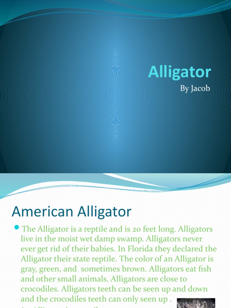 Alligator Facts for Kids | PDF