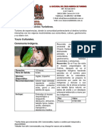 portafolio_sanantonio- PDF