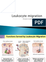FINAL LECTURE3 - migration and activation T cells - effector CMI (1).pdf